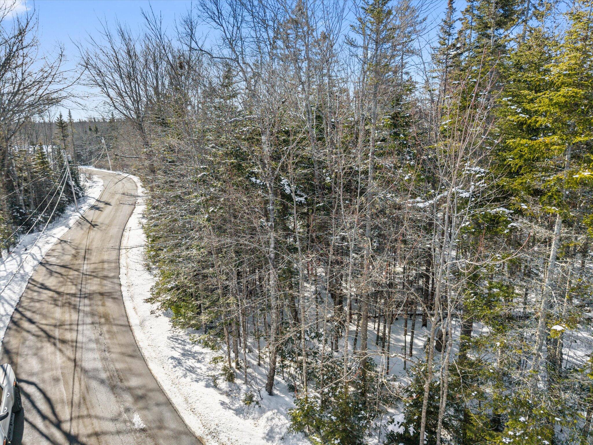 Lot #059 Paul Bunyan Road Corea, ME 04624 - Photo 13 of 15 12-Paul Bunyan Rd