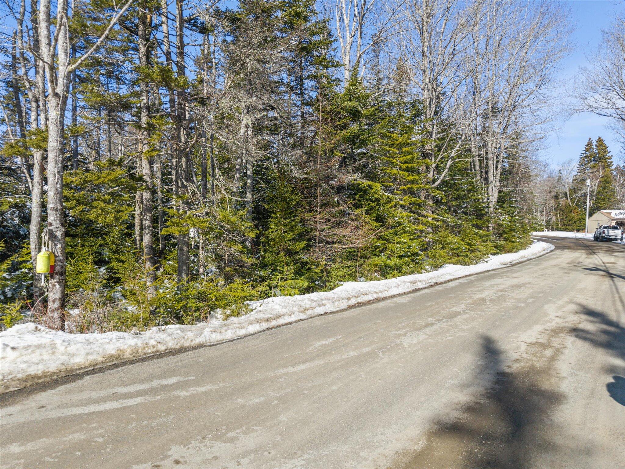 Lot #059 Paul Bunyan Road Corea, ME 04624 - Photo 2 of 15 13-Paul Bunyan Rd