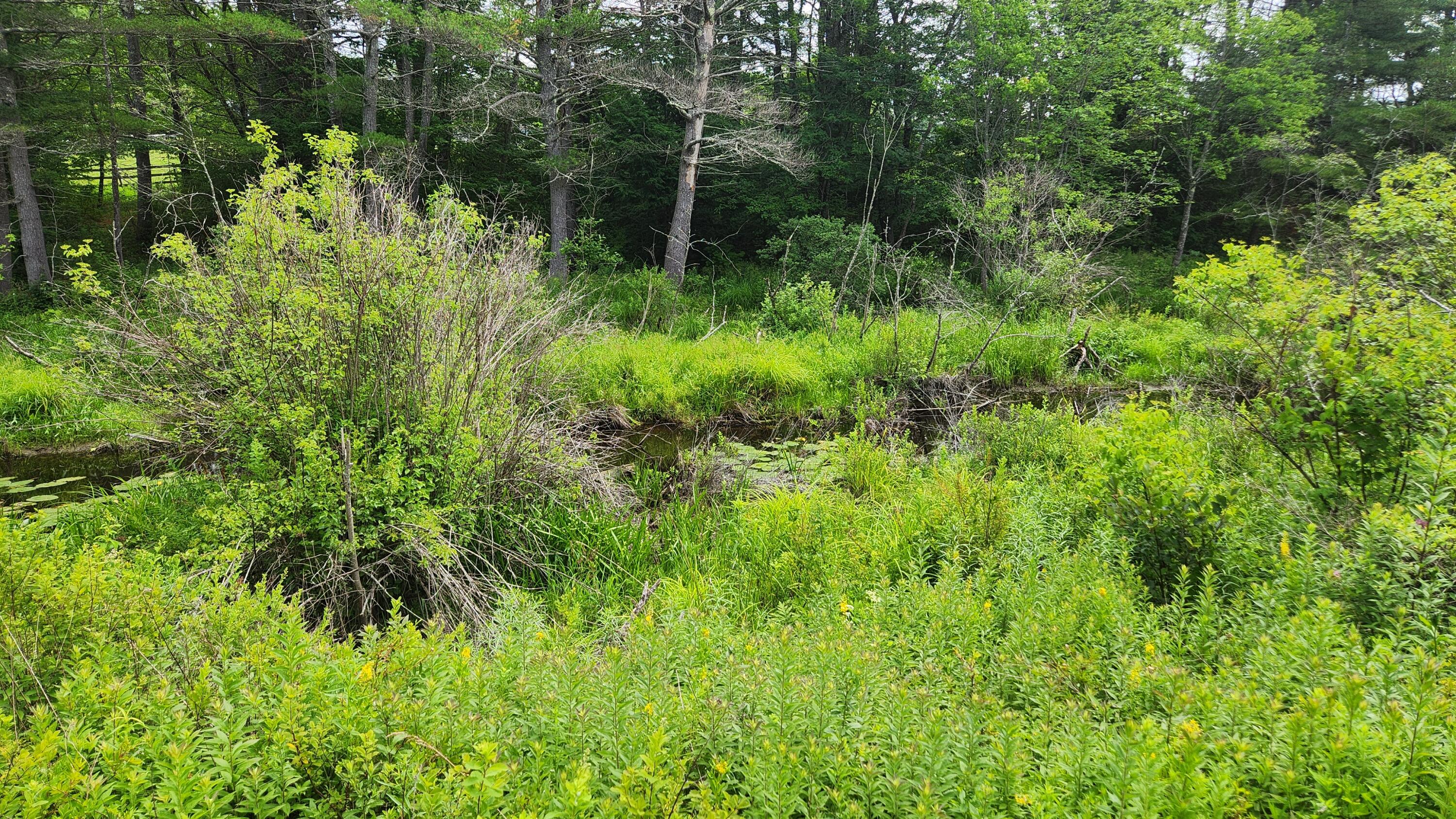 0 Dana Mill Road Woolwich, ME 04579 - Photo 8 of 26