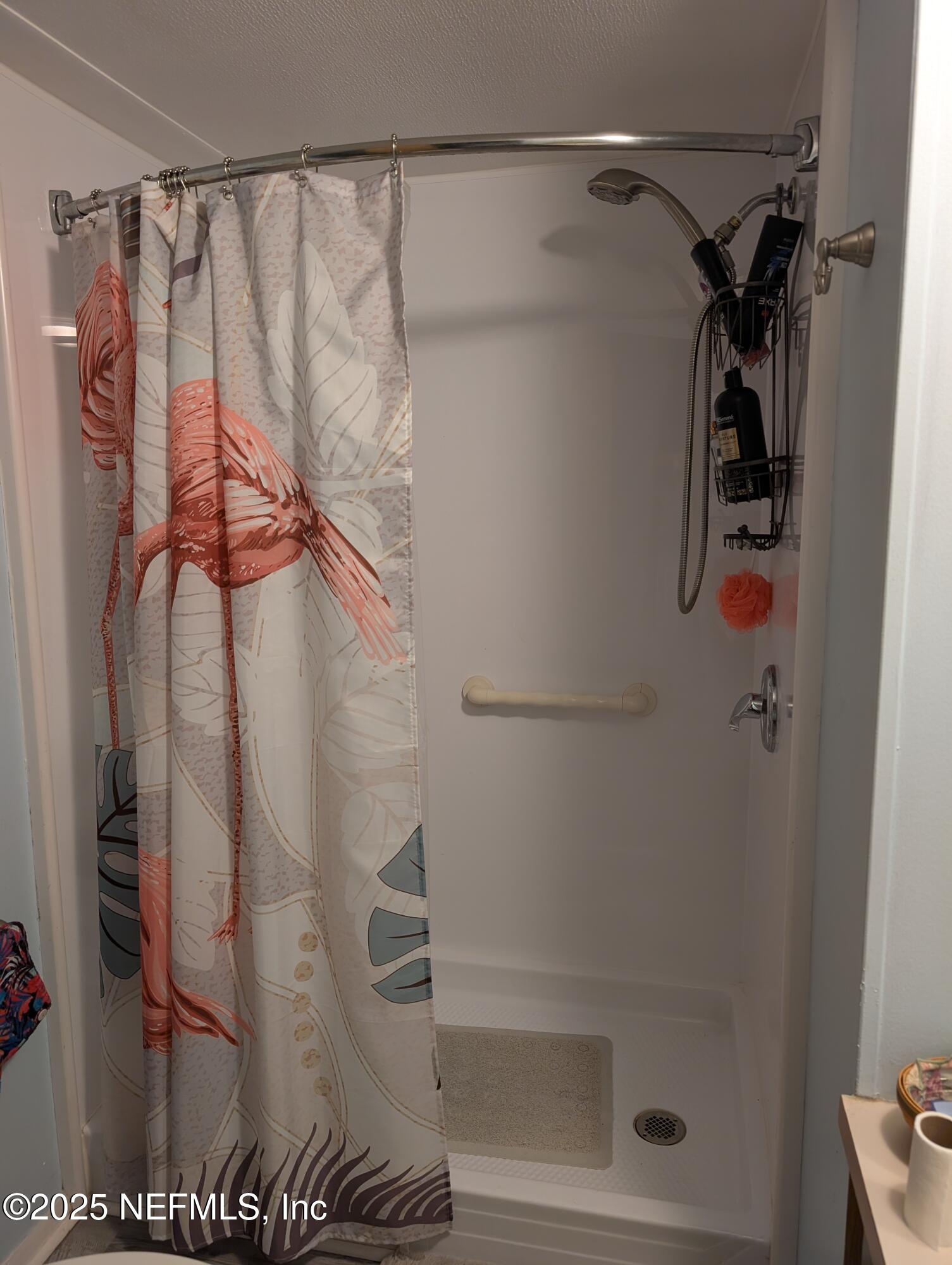 114 Ash Street Interlachen, FL 32148 - Photo 15 of 22 a bathroom with a shower