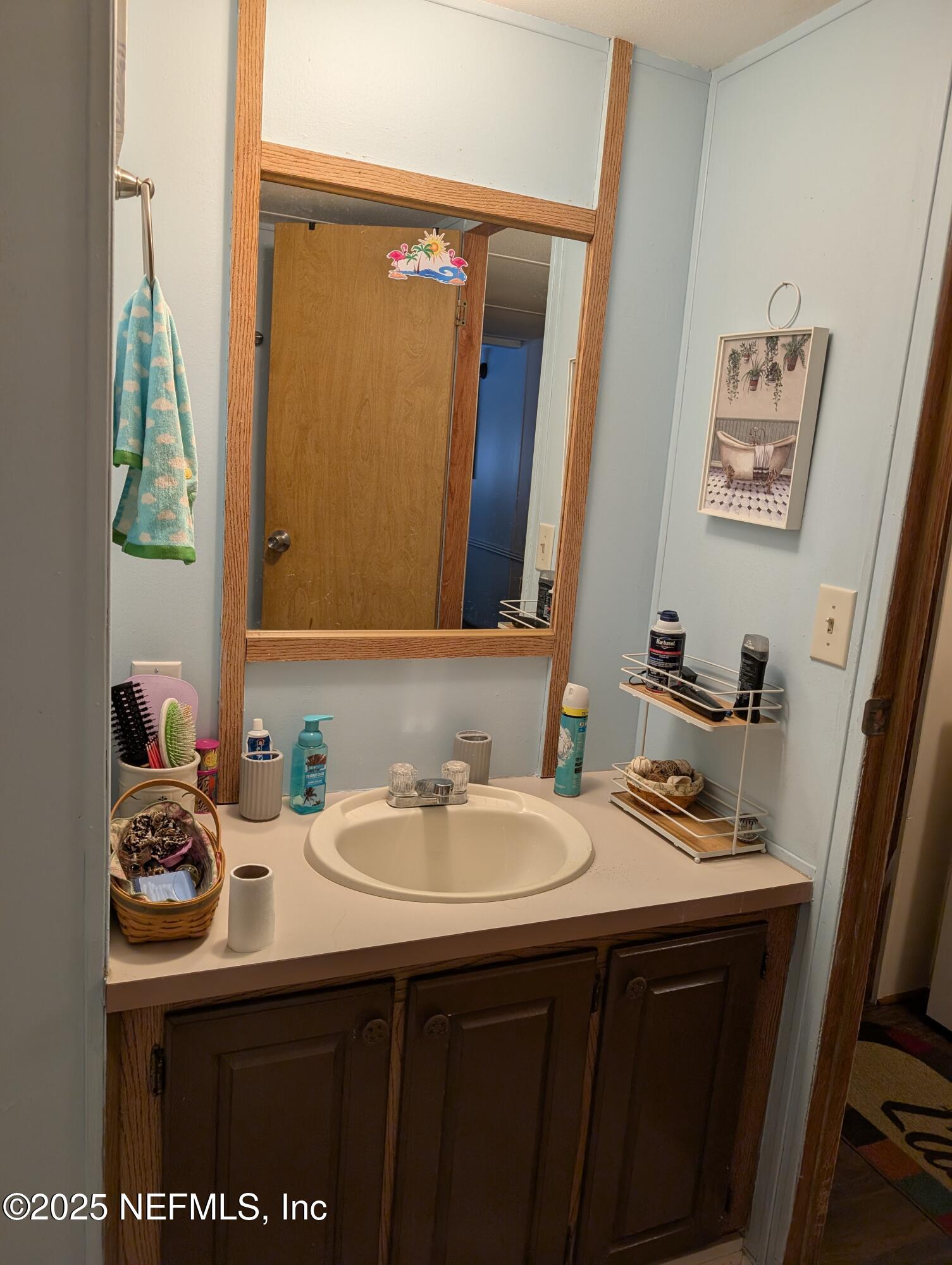 114 Ash Street Interlachen, FL 32148 - Photo 16 of 22 a bathroom with a sink and a mirror