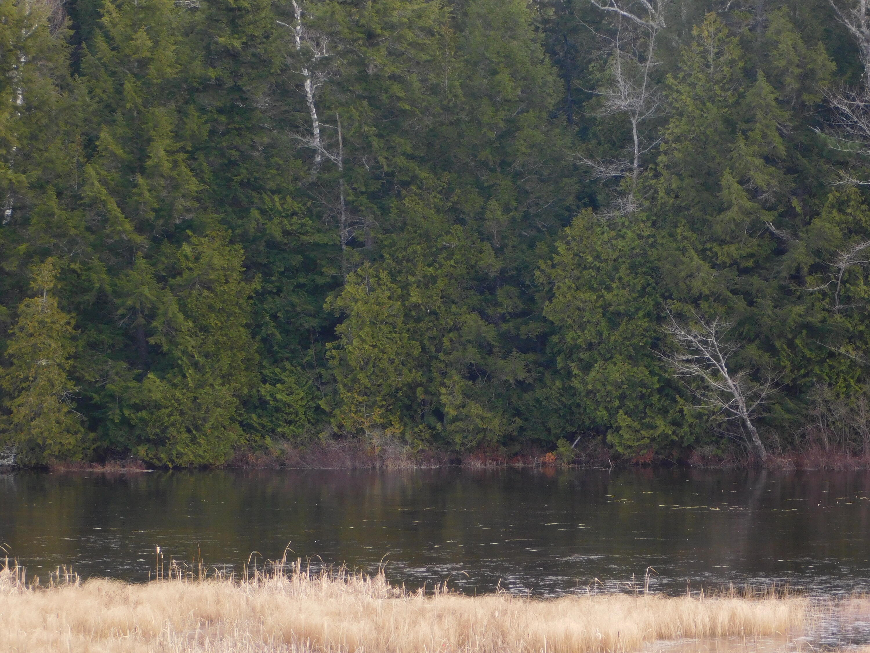 66 S Road Lee, ME 04455 - Photo 109 of 110 DSCN0011