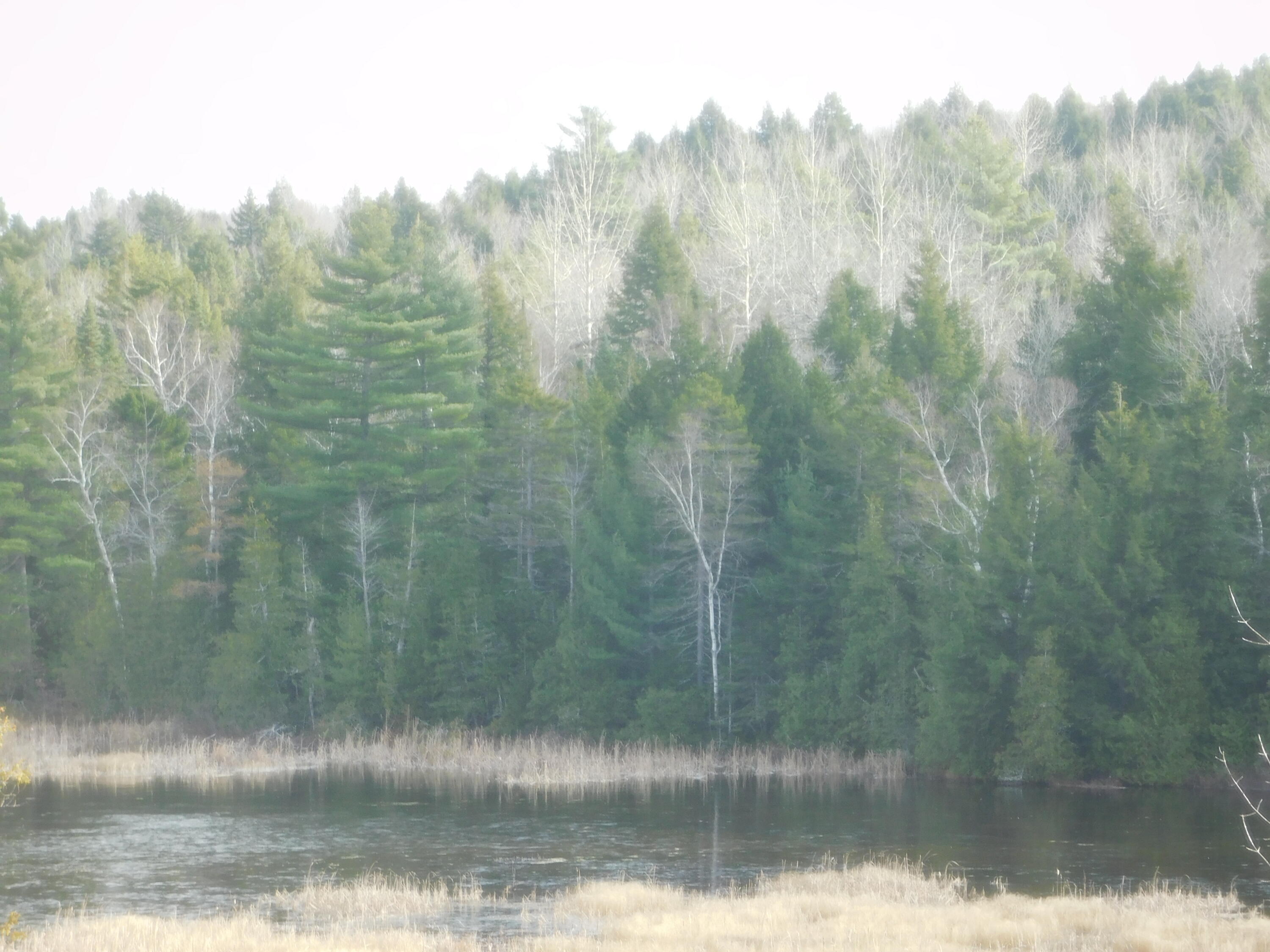 66 S Road Lee, ME 04455 - Photo 110 of 110 DSCN9936