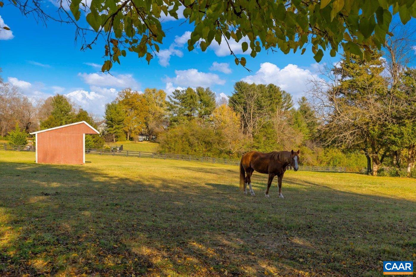 23494 Village Road Unionville, VA 22567 - Photo 26 of 72