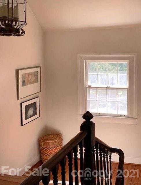 310 Vanderbilt Road Asheville, NC 28803 - Photo 22 of 46 Gallery Image 22