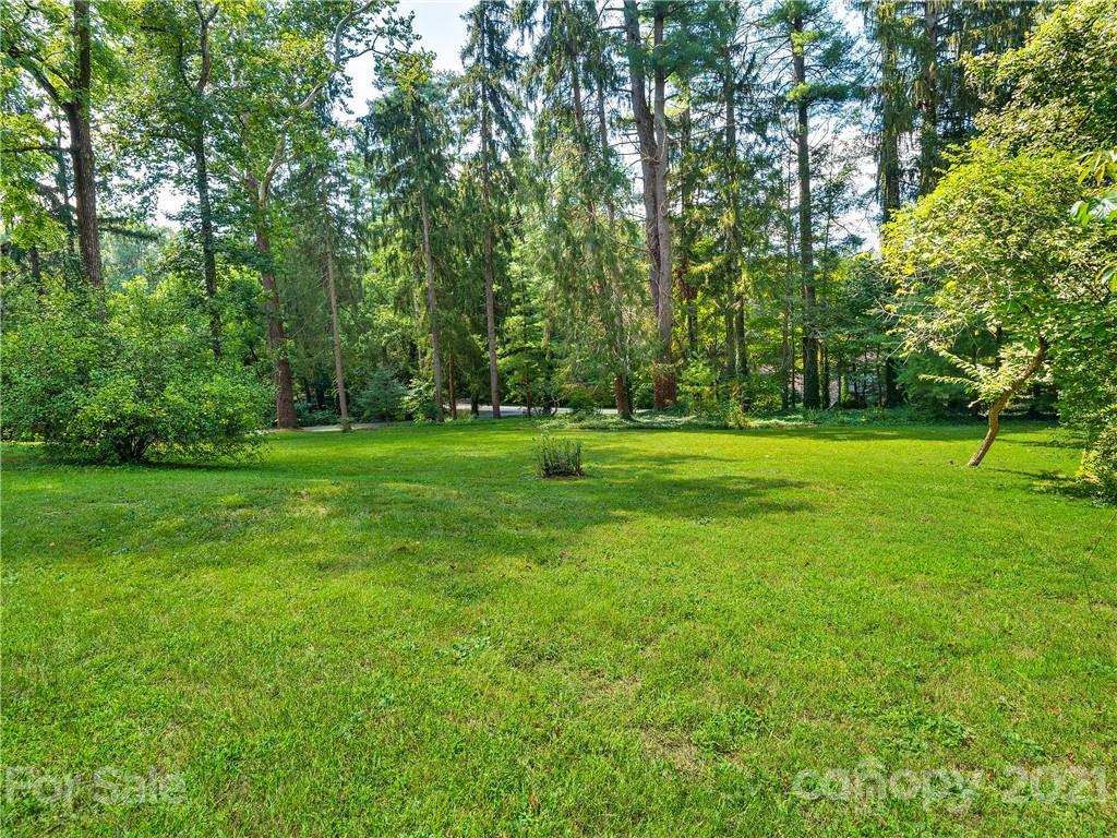 310 Vanderbilt Road Asheville, NC 28803 - Photo 29 of 46 Gallery Image 29