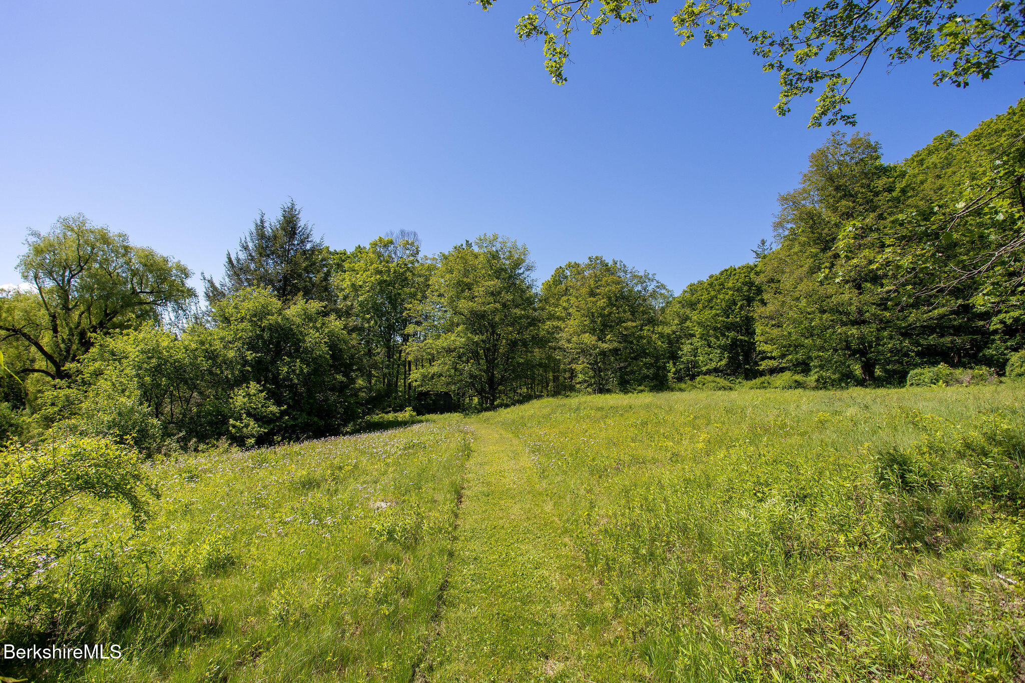 95 Town Hill Road Middlefield, MA 01235 - Photo 47 of 58 0044-fields