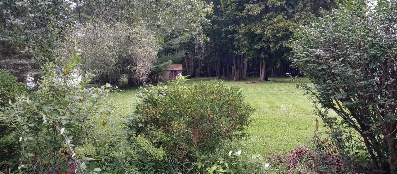 174 River Street Oneonta, NY 13820 - Photo 3 of 5 Landscaped front lot