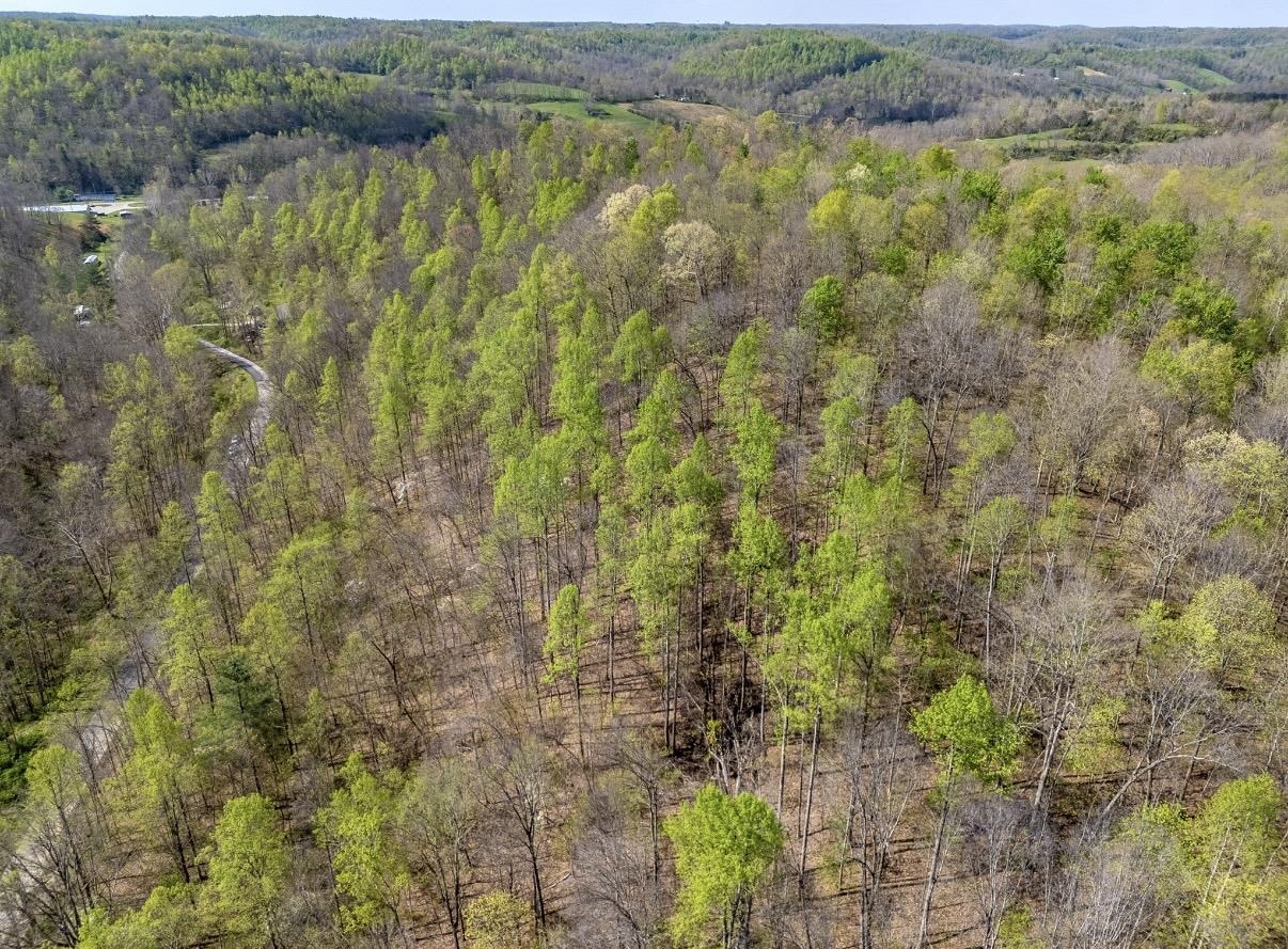 0 Brinegar Road Olive Hill, KY 40351 - Photo 3 of 10