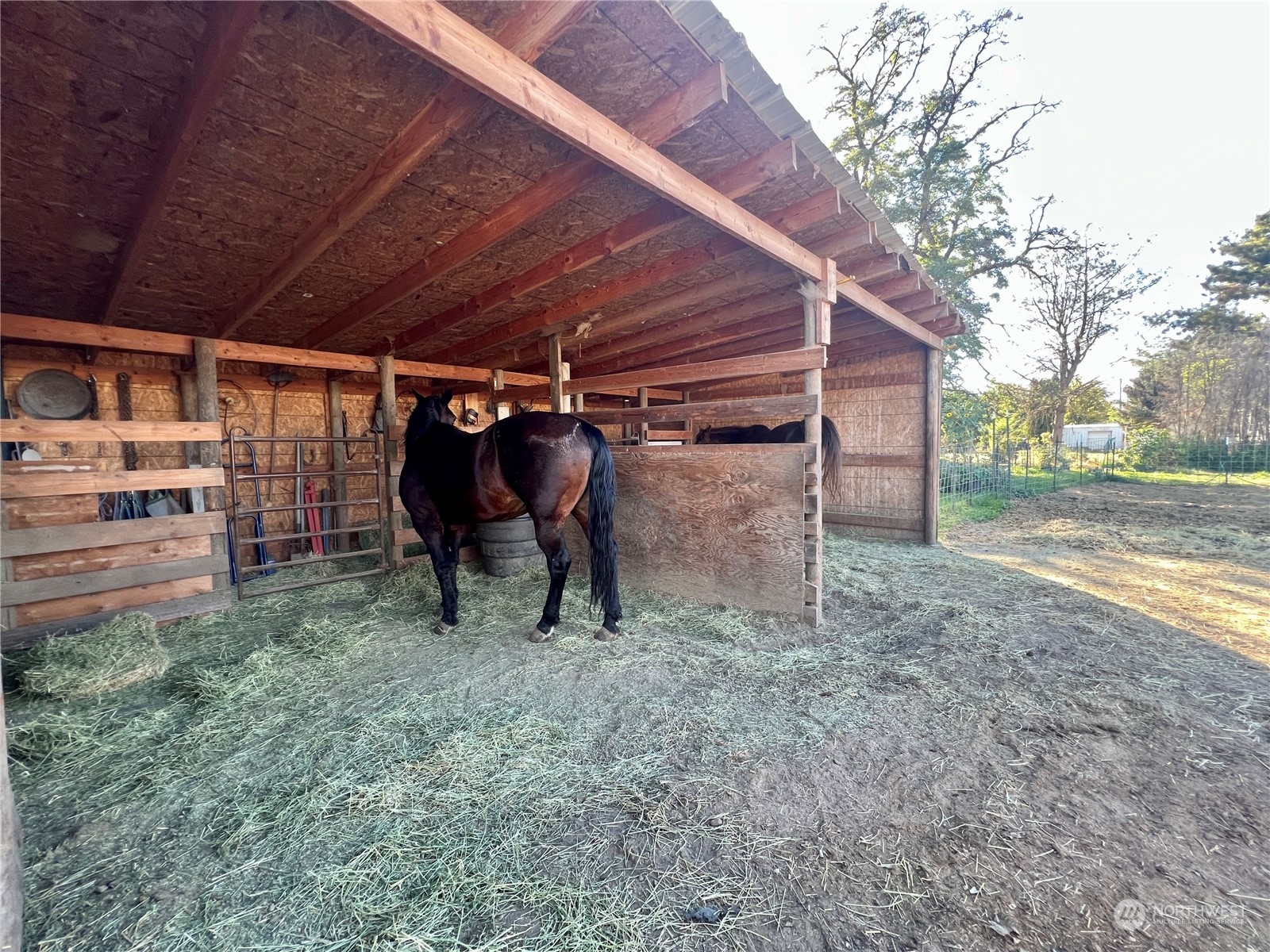 409 May Street Prescott, WA 99348 - Photo 19 of 23