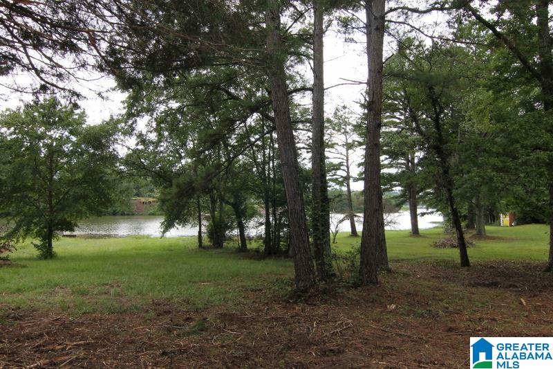 4312 County Road, Unit 17 Wedowee, AL 36278 - Photo 19 of 41