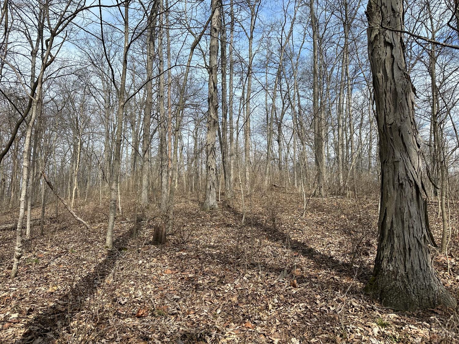 0 Wilson Road Winchester, OH 45697 - Photo 53 of 69