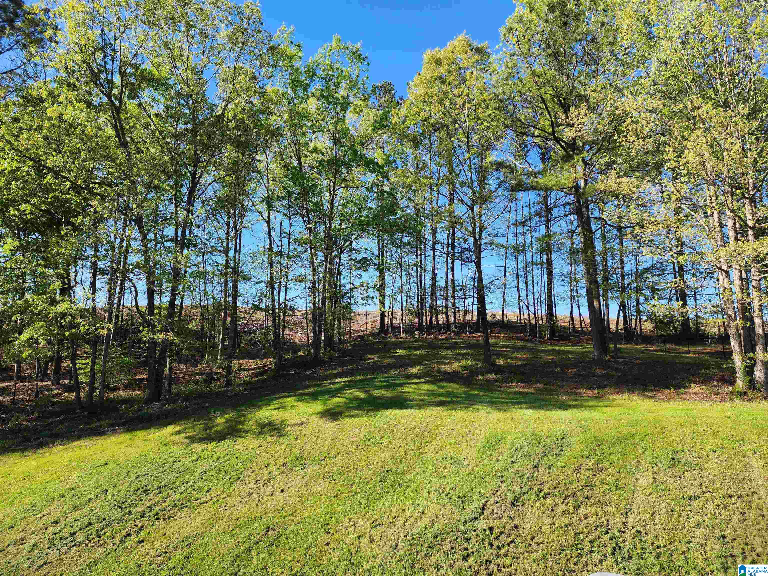 190 Hitching Post Circle Cropwell, AL 35054 - Photo 60 of 61