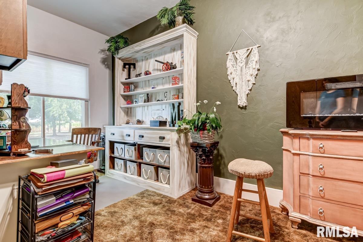 9779 Ackerman Road Waverly, IL 62692 - Photo 21 of 53