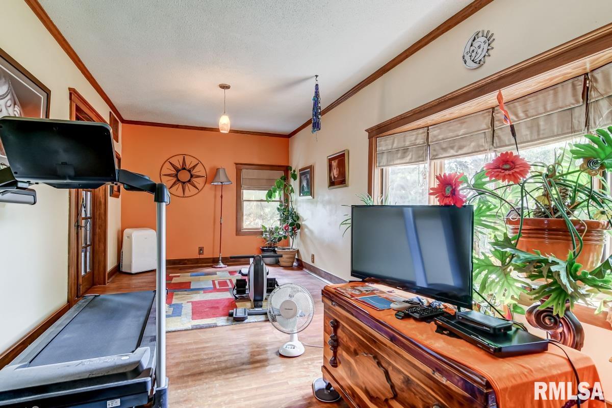 9779 Ackerman Road Waverly, IL 62692 - Photo 26 of 53