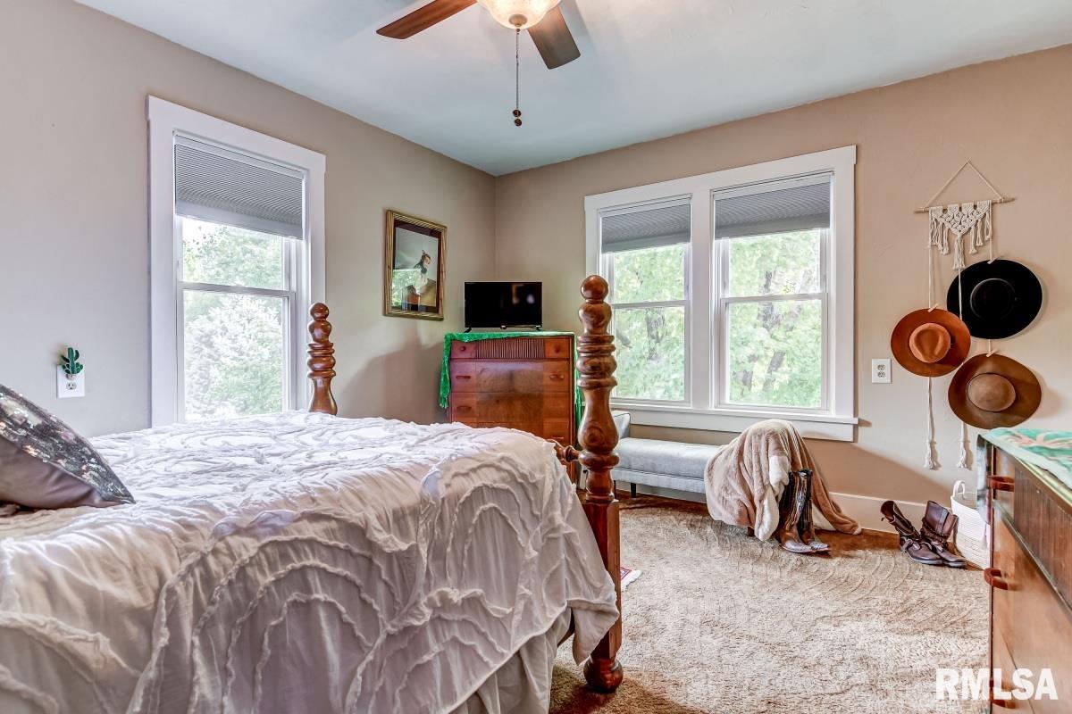 9779 Ackerman Road Waverly, IL 62692 - Photo 29 of 53