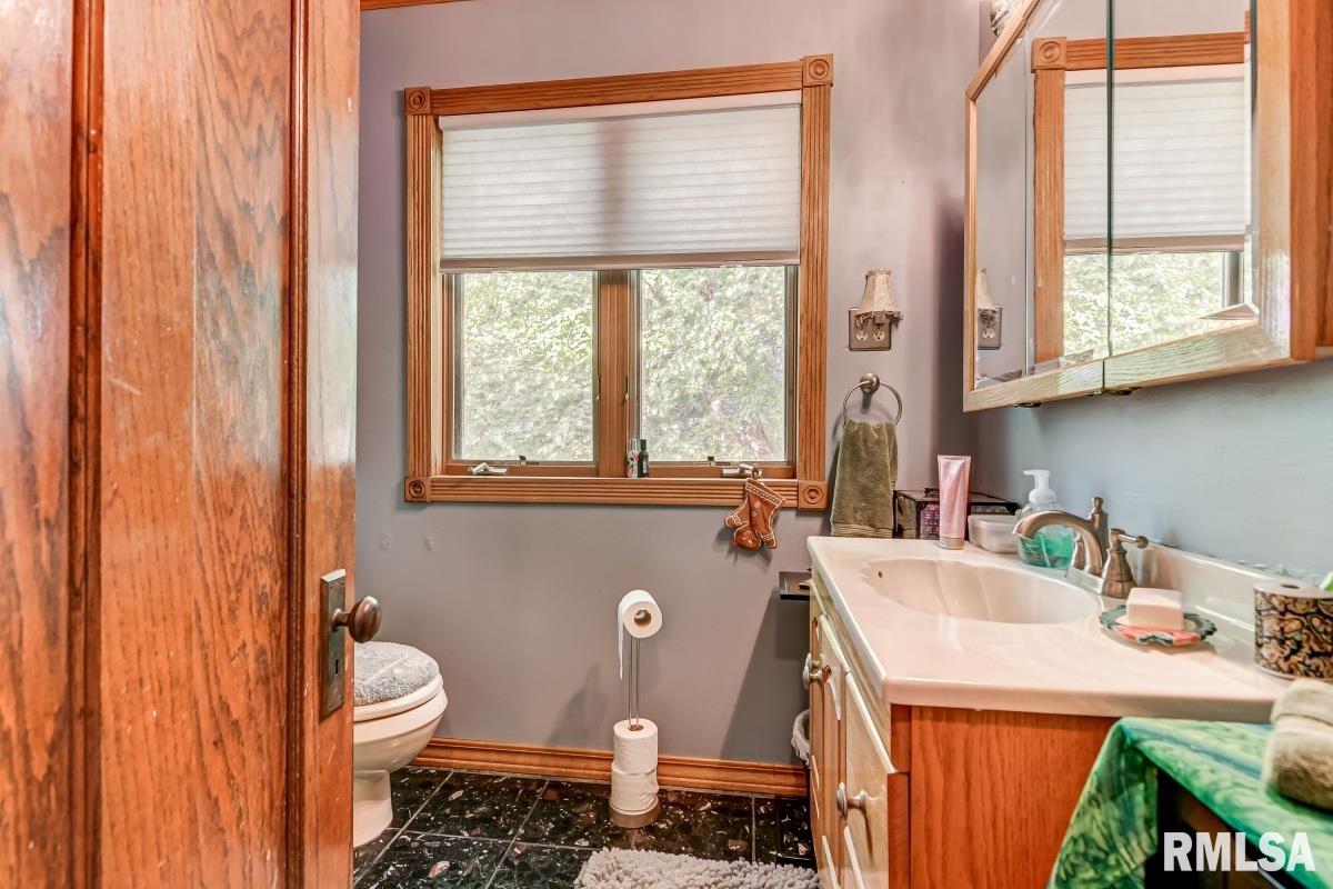 9779 Ackerman Road Waverly, IL 62692 - Photo 30 of 53