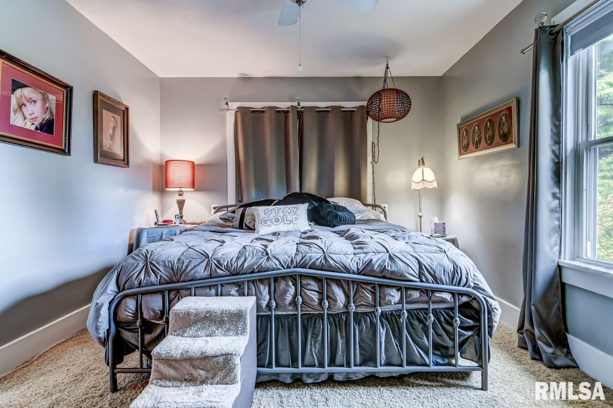 9779 Ackerman Road Waverly, IL 62692 - Photo 32 of 53