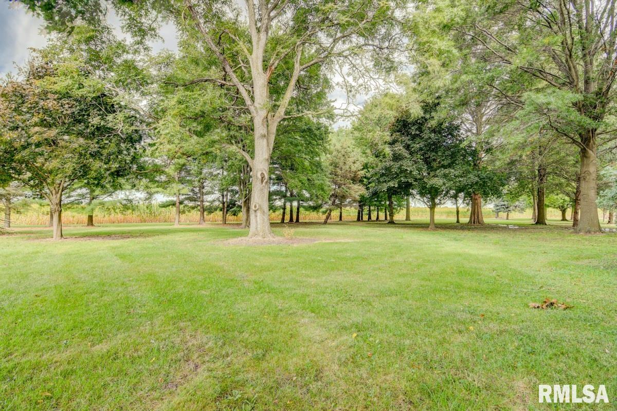 9779 Ackerman Road Waverly, IL 62692 - Photo 37 of 53