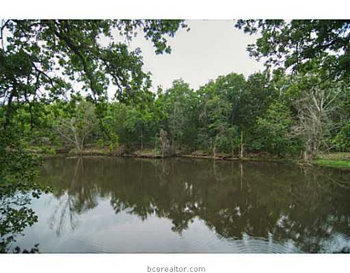 a body of water with a tree in the background