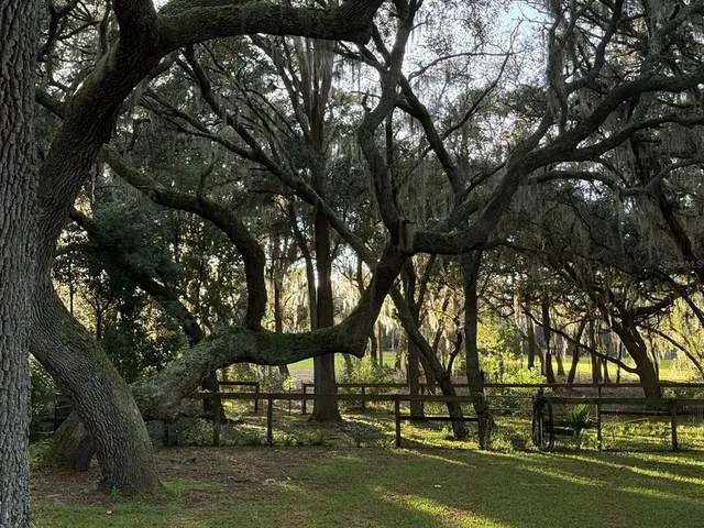 $599,999 | 11064 Northeast 212th Lane, Fort McCoy, FL 32134