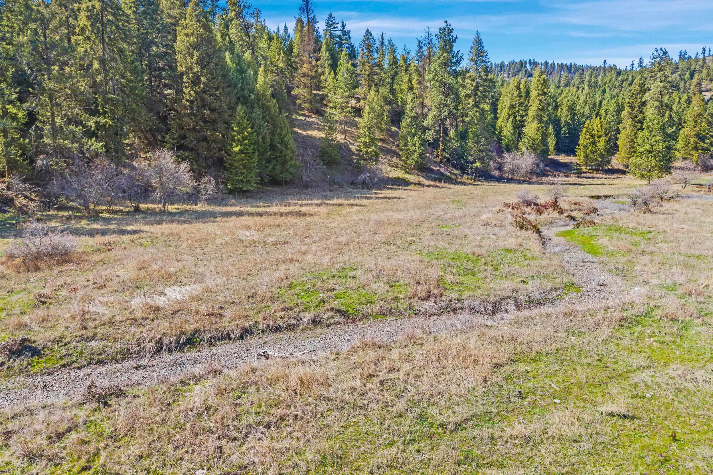 Tbd Pierre Lake Road Kettle Falls, WA 99141 - Photo 6 of 6 Gallery Image 6
