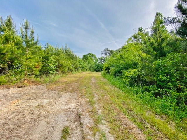 0 Henry Smith Road Tylertown, MS 39667 - Photo 11 of 28 Photo 11