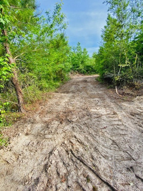0 Henry Smith Road Tylertown, MS 39667 - Photo 12 of 28 Photo 12