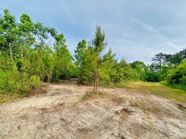 0 Henry Smith Road Tylertown, MS 39667 - Photo 13 of 28 Photo 13