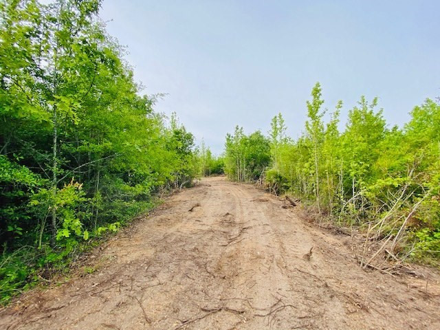 0 Henry Smith Road Tylertown, MS 39667 - Photo 16 of 28 Photo 16