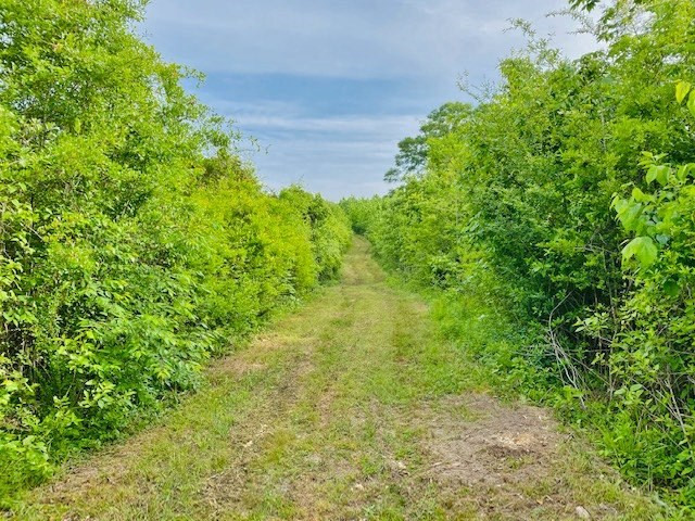 0 Henry Smith Road Tylertown, MS 39667 - Photo 17 of 28 Photo 17