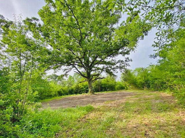0 Henry Smith Road Tylertown, MS 39667 - Photo 18 of 28 Photo 18