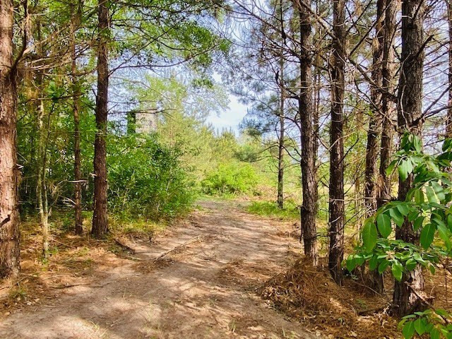 0 Henry Smith Road Tylertown, MS 39667 - Photo 20 of 28 Photo 20