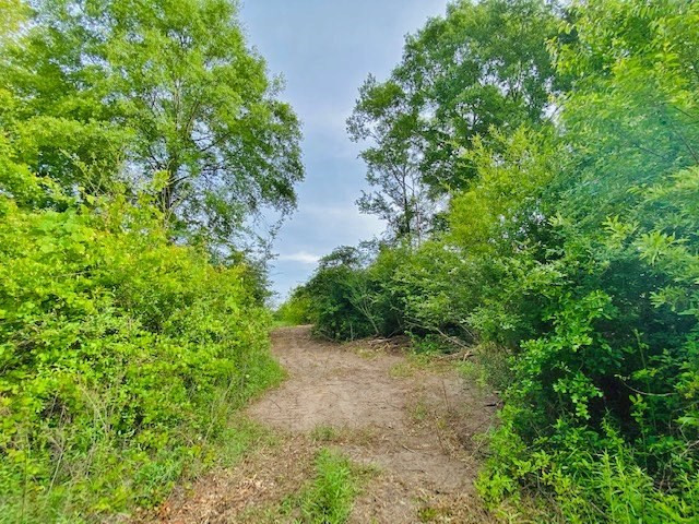0 Henry Smith Road Tylertown, MS 39667 - Photo 21 of 28 Photo 21