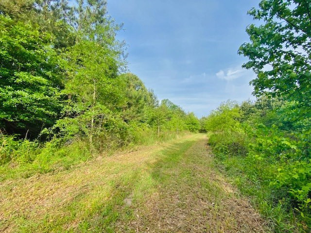 0 Henry Smith Road Tylertown, MS 39667 - Photo 22 of 28 Photo 22