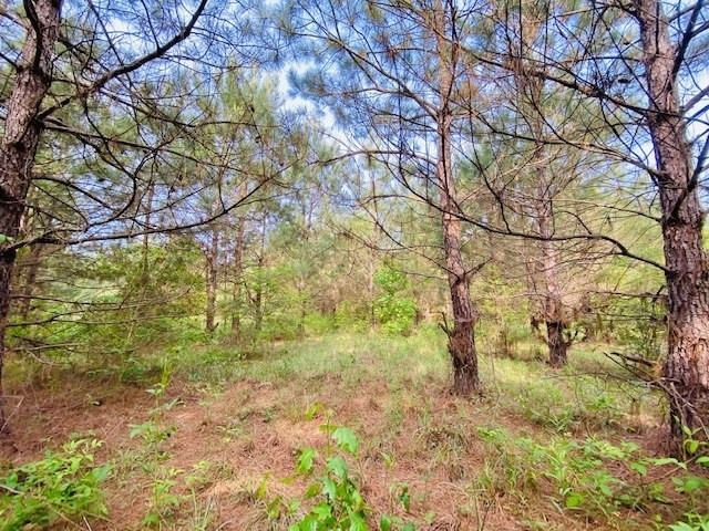 0 Henry Smith Road Tylertown, MS 39667 - Photo 23 of 28 Photo 23