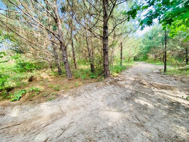 0 Henry Smith Road Tylertown, MS 39667 - Photo 25 of 28 Photo 25