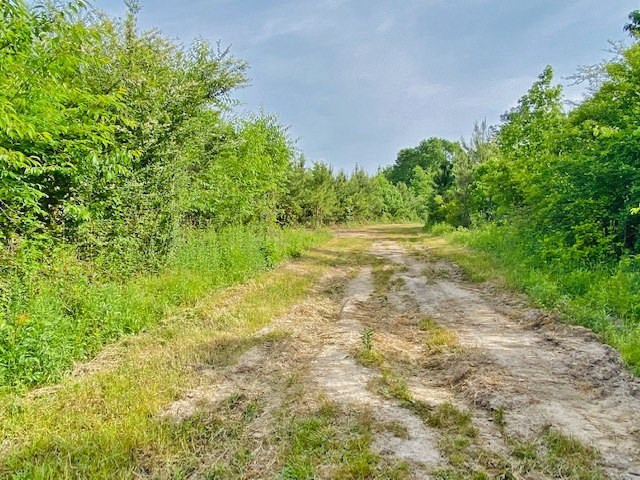 0 Henry Smith Road Tylertown, MS 39667 - Photo 26 of 28 Photo 26