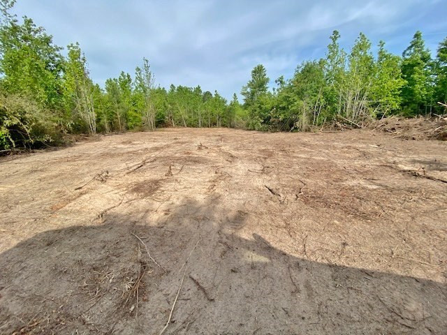 0 Henry Smith Road Tylertown, MS 39667 - Photo 28 of 28 Photo 28