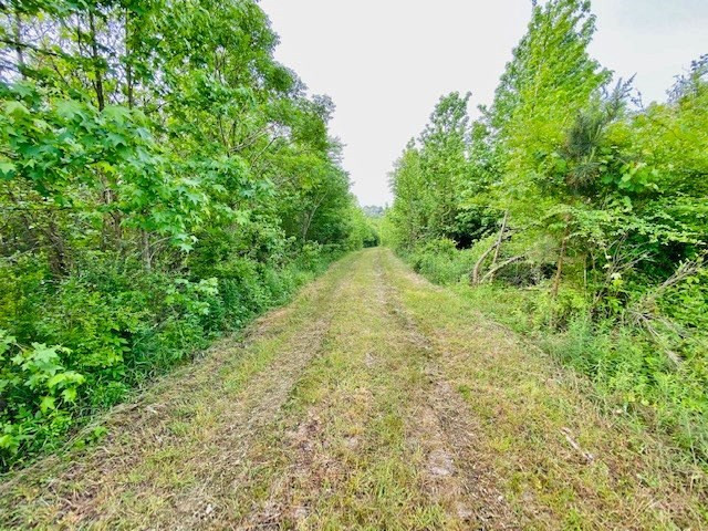 0 Henry Smith Road Tylertown, MS 39667 - Photo 3 of 28 Photo 3