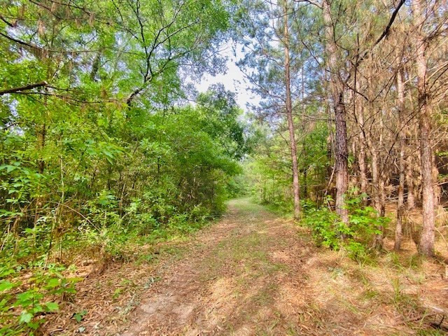 0 Henry Smith Road Tylertown, MS 39667 - Photo 4 of 28 Photo 4