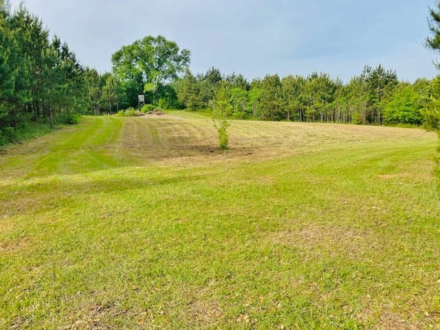 0 Henry Smith Road Tylertown, MS 39667 - Photo 5 of 28 Photo 5