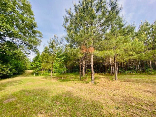 0 Henry Smith Road Tylertown, MS 39667 - Photo 6 of 28 Photo 6