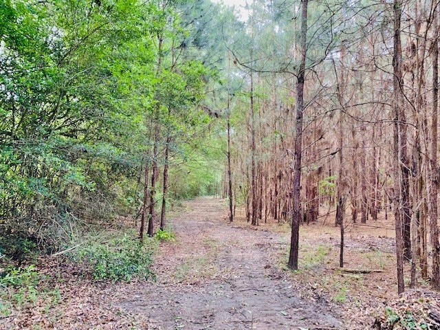0 Henry Smith Road Tylertown, MS 39667 - Photo 7 of 28 Photo 7