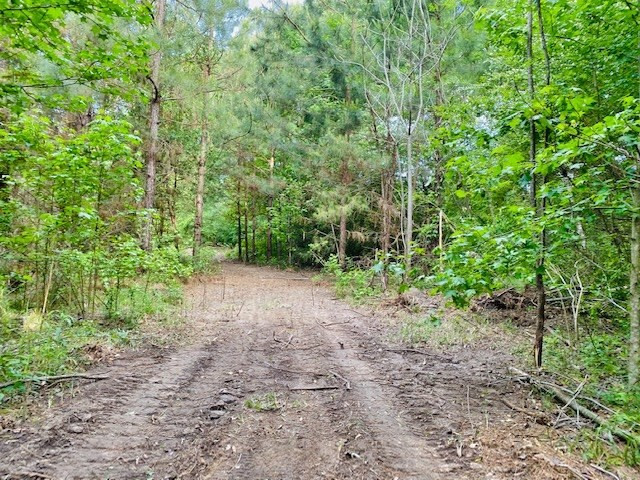0 Henry Smith Road Tylertown, MS 39667 - Photo 8 of 28 Photo 8