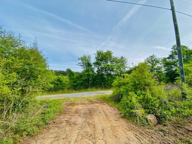0 Henry Smith Road Tylertown, MS 39667 - Photo 10 of 28 Photo 10