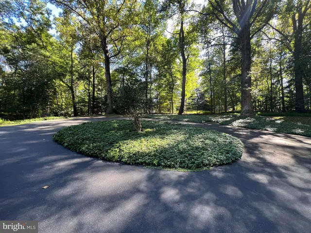 a view of a park with large trees