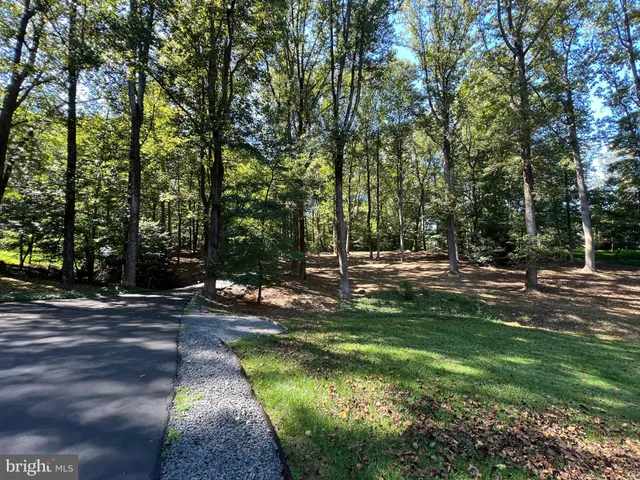 a view of backyard with green space