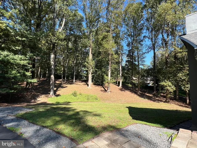 a view of a swimming pool with an outdoor space