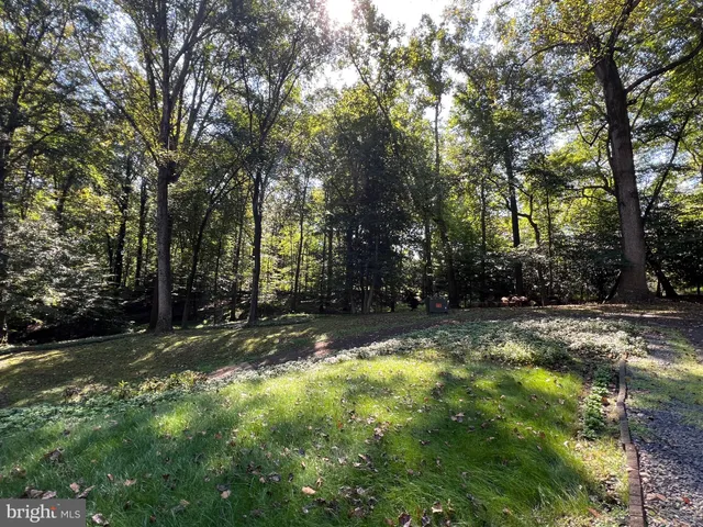 a view of a backyard with tree